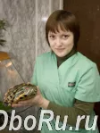 Лечение рептилий в Москве.