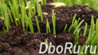«БиоГрунт» - доставка грунта для газона и других растительных удобрений  по Москве и области