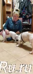 Инструктор по вязкам собак