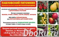 Павловский питомник: саженцы плодово-ягодных растений