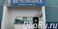 Ветеринарная клиника в Ясенево.
